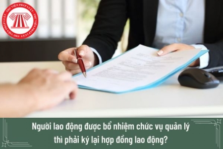 Bổ nhiệm, điều động lao động theo quy định nào?