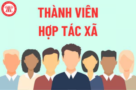 Nhà đầu tư nước ngoài có được trở thành thành viên hợp tác xã hay không?