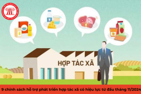 Chín chính sách hỗ trợ phát triển hợp tác xã có hiệu lực từ đầu tháng 11/2024