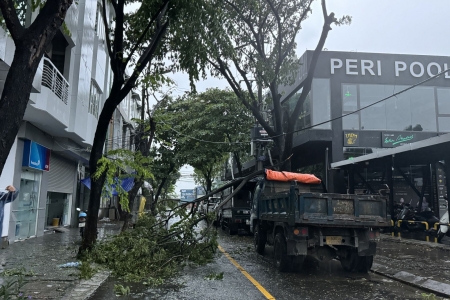 Bão số 6 đi vào đất liền, hàng loạt cây xanh ở Đà Nẵng bị đổ