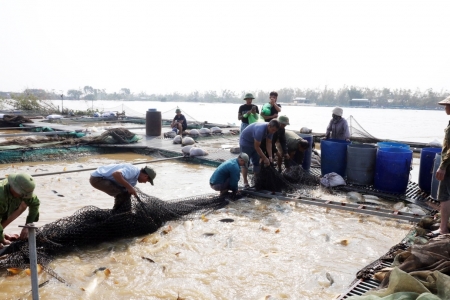 Bắc Ninh hỗ trợ nông dân vay vốn từ Quỹ Hỗ trợ nông dân các cấp bị thiệt hại do bão số 3