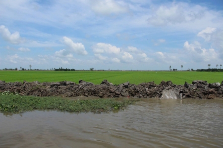 Long An chủ động ứng phó với mưa lớn, lũ kết hợp triều cường gây ngập úng và sạt lở đất