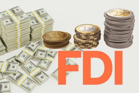 Chuyên gia trao đổi về cách tiếp cận, thu hút nguồn vốn FDI trong kỷ nguyên đất nước vươn mình