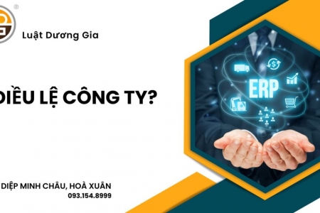 Điều lệ công ty là gì? Điều lệ công ty có những nội dung gì?