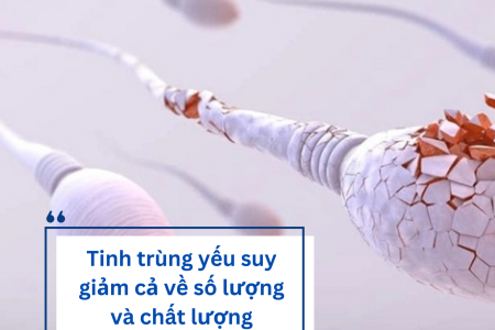 Nguyên nhân tinh trùng yếu và giải pháp cải thiện từ Linh Tự Đan