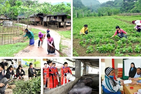 Tỉ lệ giảm nghèo vùng đồng bào dân tộc thiểu số đã vượt mục tiêu được giao ở mức cao