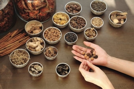 Long An phát triển nền Y học cổ truyền Việt Nam và Hội Đông y Việt Nam