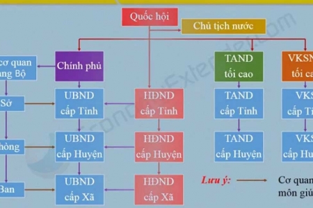 Tiếp tục đổi mới, sắp xếp tổ chức bộ máy của hệ thống chính trị tinh gọn, hoạt động hiệu lực, hiệu quả