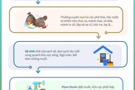 Lưu ý quan trọng phòng chống sốt xuất huyết cho mỗi gia đình