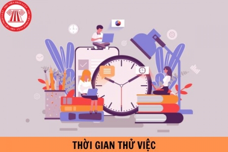 Thời gian thử việc có được tính phép năm 2024 không?