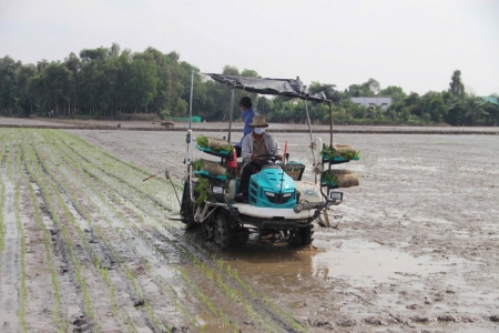 Long An ứng dụng công nghệ cao trong sản xuất lúa