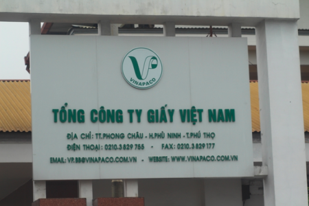 Quyết định thanh tra Tổng công ty Giấy Việt Nam