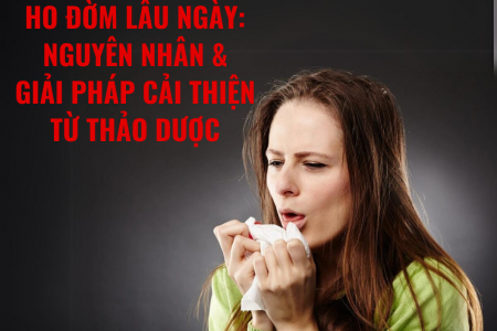 Nguyên nhân ho đờm lâu ngày không dứt và giải pháp cải thiện từ Bảo Phế Vương