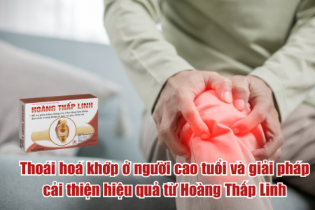 Thoái hoá khớp ở người cao tuổi và giải pháp cải thiện hiệu quả từ Hoàng Thấp Linh