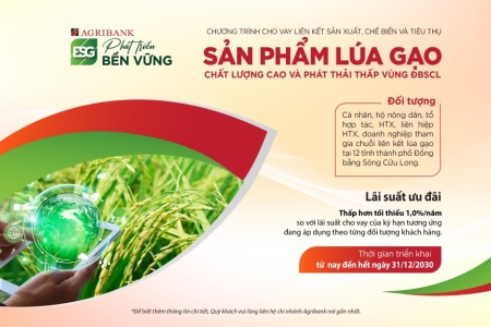 Agribank cho vay liên kết sản xuất, chế biến và tiêu thụ sản phẩm lúa gạo chất lượng cao phát thải thấp vùng ĐBSCL