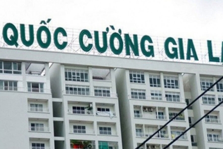 Quốc Cường Gia Lai (QCG) thay đổi đơn vị cung cấp dịch vụ kiểm toán BCTC năm 2024