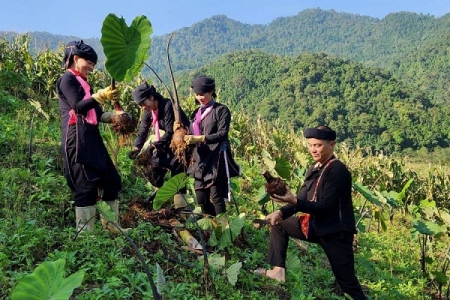 Lào Cai triển khai chính sách đất đai: Đảm bảo sinh kế bền vững cho đồng bào dân tộc thiểu số