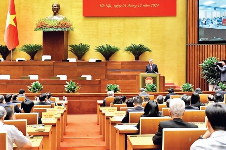 Giảm tầng nấc trung gian - tinh gọn bộ máy: Thời cơ không thể chậm trễ