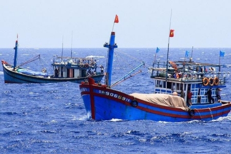 Thủ tướng Chính phủ chấn chỉnh cấp giấy xác nhận thuỷ sản khai thác tại các địa phương