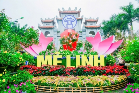 Festival hoa Mê Linh lần thứ hai: Quảng bá du lịch, hướng tới xây dựng thương hiệu