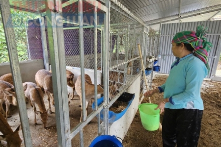 Lào Cai: Tạo “đòn bẩy” phát triển kinh tế - xã hội vùng đồng bào dân tộc thiểu số