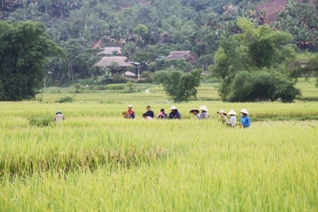 Lào Cai triển khai chính sách đất đai: Đảm bảo sinh kế bền vững cho đồng bào dân tộc thiểu số