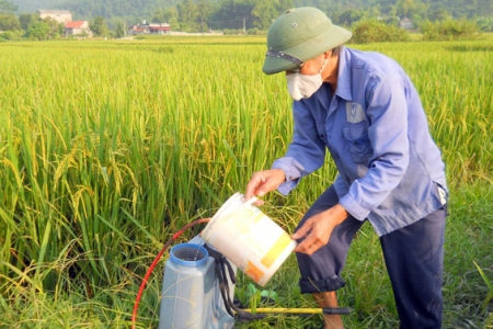 Những loại thuốc bảo vệ thực vật được phép sử dụng tại Việt Nam kể từ ngày 30/01/2025?