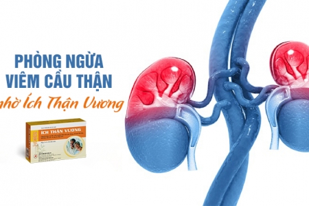 Phòng ngừa viêm cầu thận nhờ dùng Ích Thận Vương