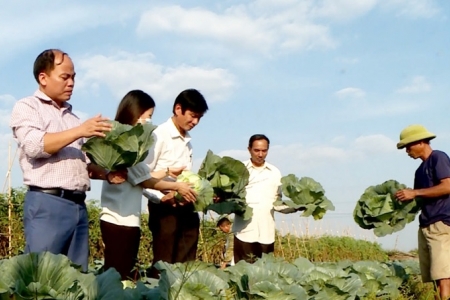 Bắc Ninh: Giá trị sản xuất nông, lâm, thủy sản trên địa bàn huyện Tiên Du đạt hơn 1.200 tỷ đồng