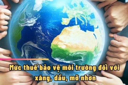 Các mức thuế bảo vệ môi trường đối với xăng, dầu, mỡ nhờn có hiệu lực từ ngày 1/1/2025