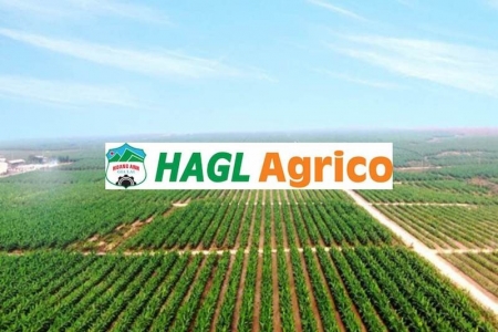 HAGL Agrico khẳng định không còn nợ doanh nghiệp của bầu Đức