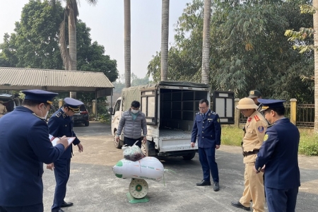 Phú Thọ: Tiêu hủy hơn 100kg nội tạng động vật bốc mùi đang trên đường đi tiêu thụ