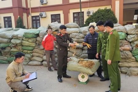 Lạng Sơn: Phát hiện, bắt giữ vụ vận chuyển trên 25 tấn lá cây thuốc lá sấy khô không rõ nguồn gốc xuất xứ