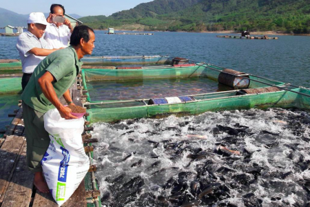 Kon Tum tăng cường công tác quản lý giống vật nuôi, giống thủy sản