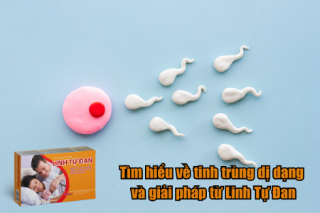 Tìm hiểu về tinh trùng dị dạng và giải pháp từ Linh Tự Đan