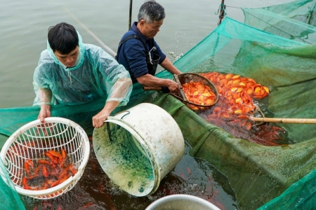 Thanh Hóa: Người dân làng nghề “Hốt bạc” với mặt hàng bán chạy nhất ngày ông Công ông Táo