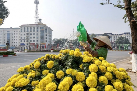 Vĩnh Phúc ngập tràn sắc xuân trên mọi nẻo đường