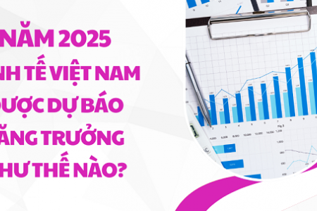 Kinh tế Việt Nam năm 2025 như thế nào dưới góc nhìn của chuyên gia?