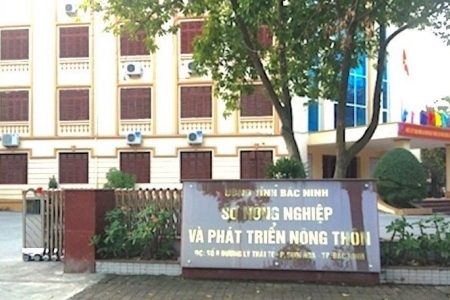 Bắc Ninh hợp nhất 8 sở