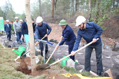 Tập đoàn Công nghiệp Than - Khoáng sản Việt Nam dự kiến trồng 240ha cây xanh trong năm 2025