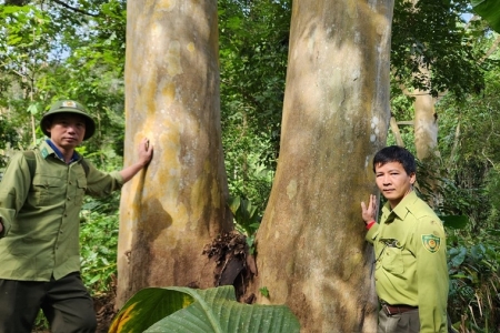 Thanh Hóa nâng hạng Khu Bảo tồn thiên nhiên Xuân Liên thành Vườn quốc gia Xuân Liên