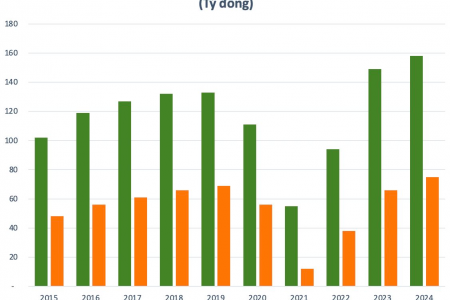 Cổ phiếu đắt nhất sàn chứng khoán vừa báo lãi kỷ lục, từng chi cổ tức tiền mặt hơn 500%