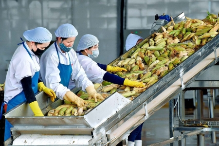 “Xuất khẩu nông sản Việt Nam đầu năm 2025: Thách thức đan xen cơ hội”