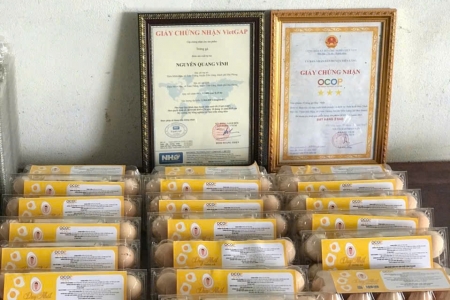 Giá trứng gà giảm sâu, chủ trang trại dở khóc dở cười