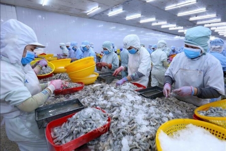 Sao Ta báo doanh thu tháng Hai tăng vọt 85%