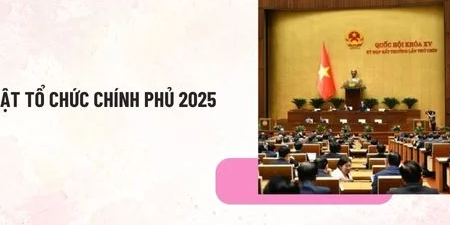 Những điểm mới nổi bật của Luật Tổ chức Chính phủ năm 2025