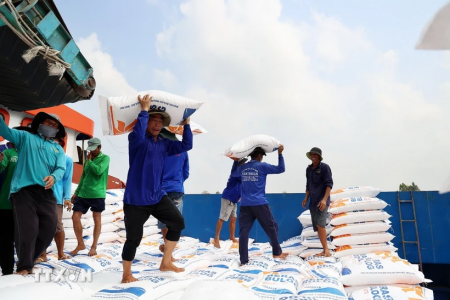 Lãnh đạo Tập đoàn Ciputra khẳng định: Tinh gọn bộ máy của chính phủ Việt Nam là tạo thuận lợi cho đầu tư nước ngoài