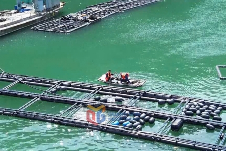 Quảng Ninh tháo gỡ vướng mắc thủ tục nuôi trồng thủy sản