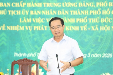 TP. Hồ Chí Minh lập tổ công tác đặc biệt tháo gỡ khó khăn cho các dự án