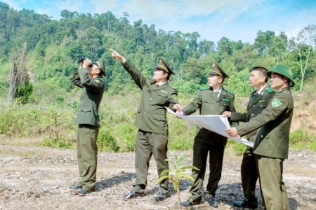 Tăng cường giám sát, xử lý nghiêm vi phạm trong bảo vệ rừng